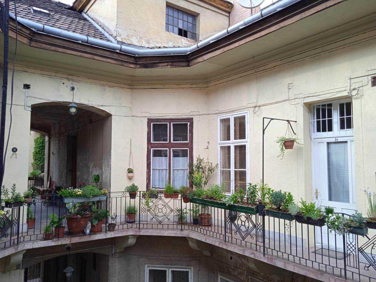 Classical In The Old Pest Apartment